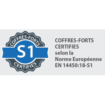 DS19K Coffre-fort de dépôt de fonds à trappe - 50 L